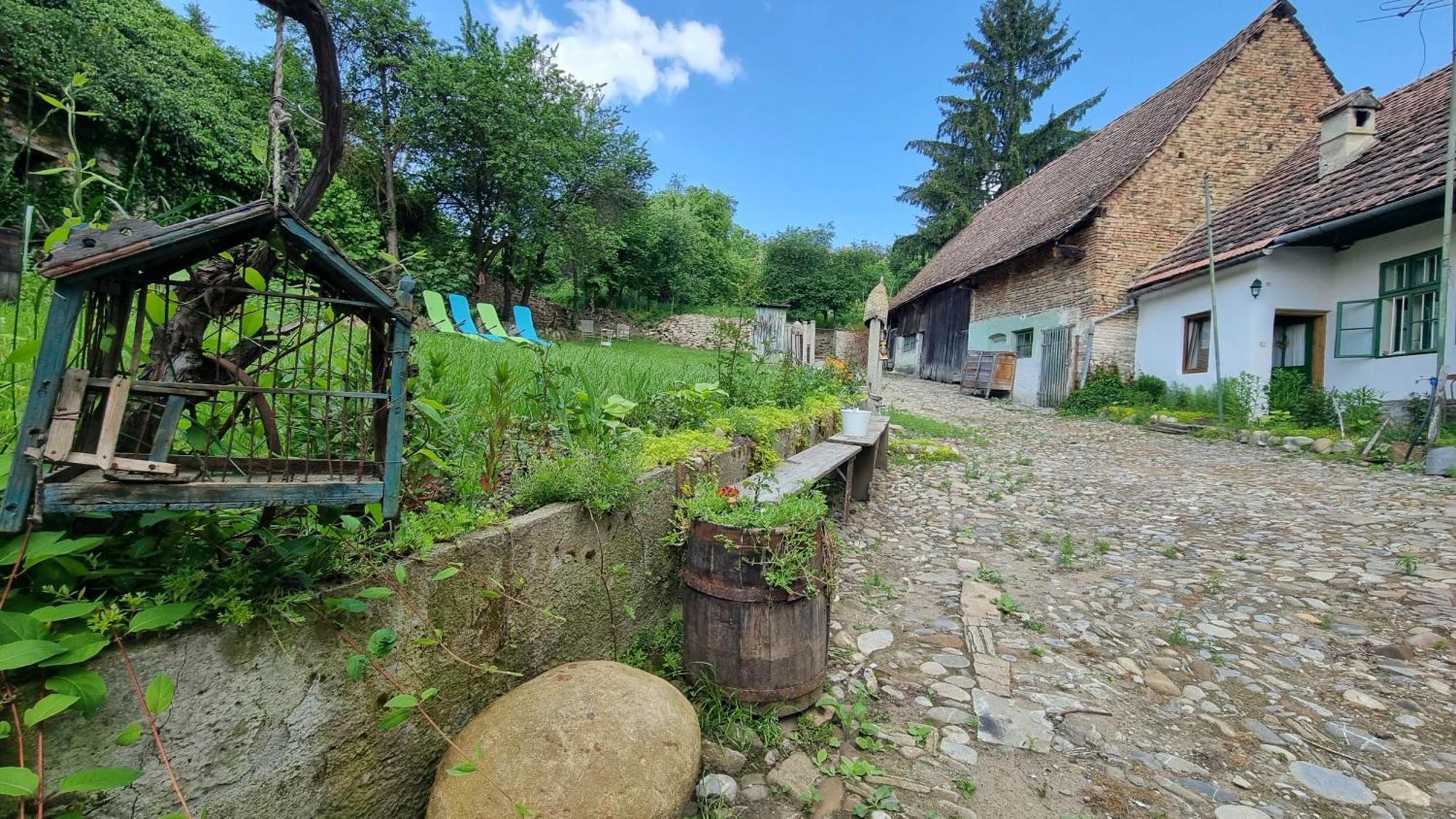 Saschiz 175 Guesthouse Exterior foto