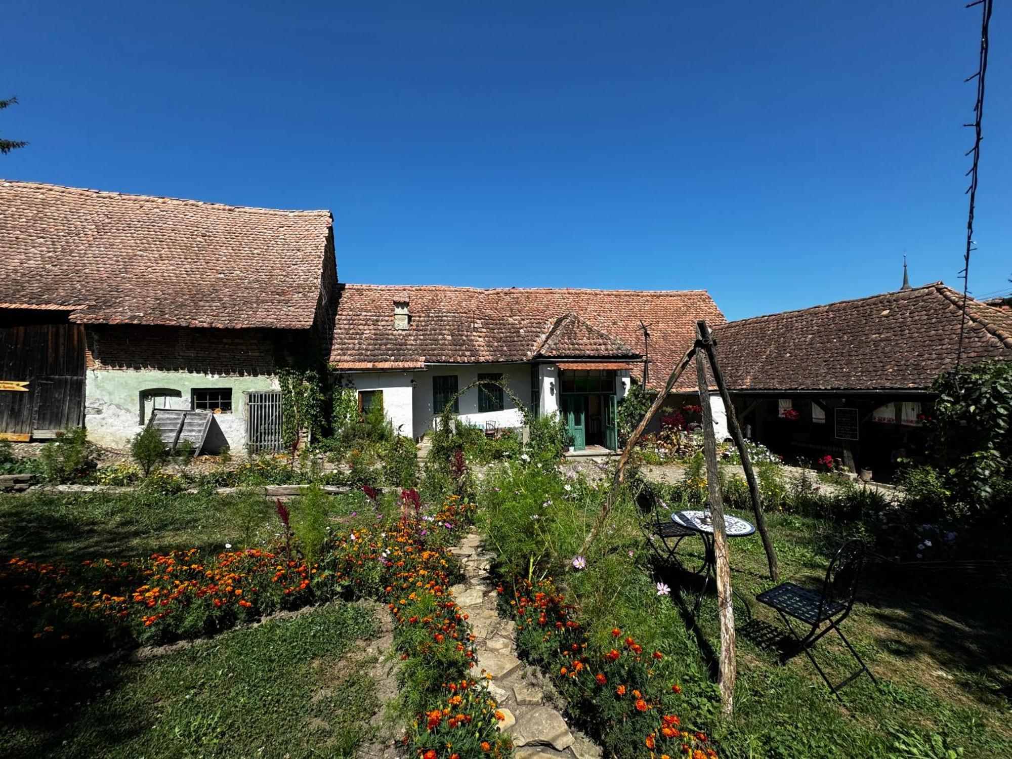 Saschiz 175 Guesthouse Exterior foto